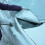 Efficient Car Windscreen Ice Protector Keeps Your Vehicle Clear in Winter 3