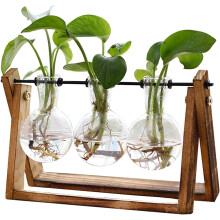 Hydroponics Terrarium Kit with Clear Glass Vase, Plant Propagation Stations for Home Garden Office Decor, Vintage Décor, Wooden Stand, Quality After