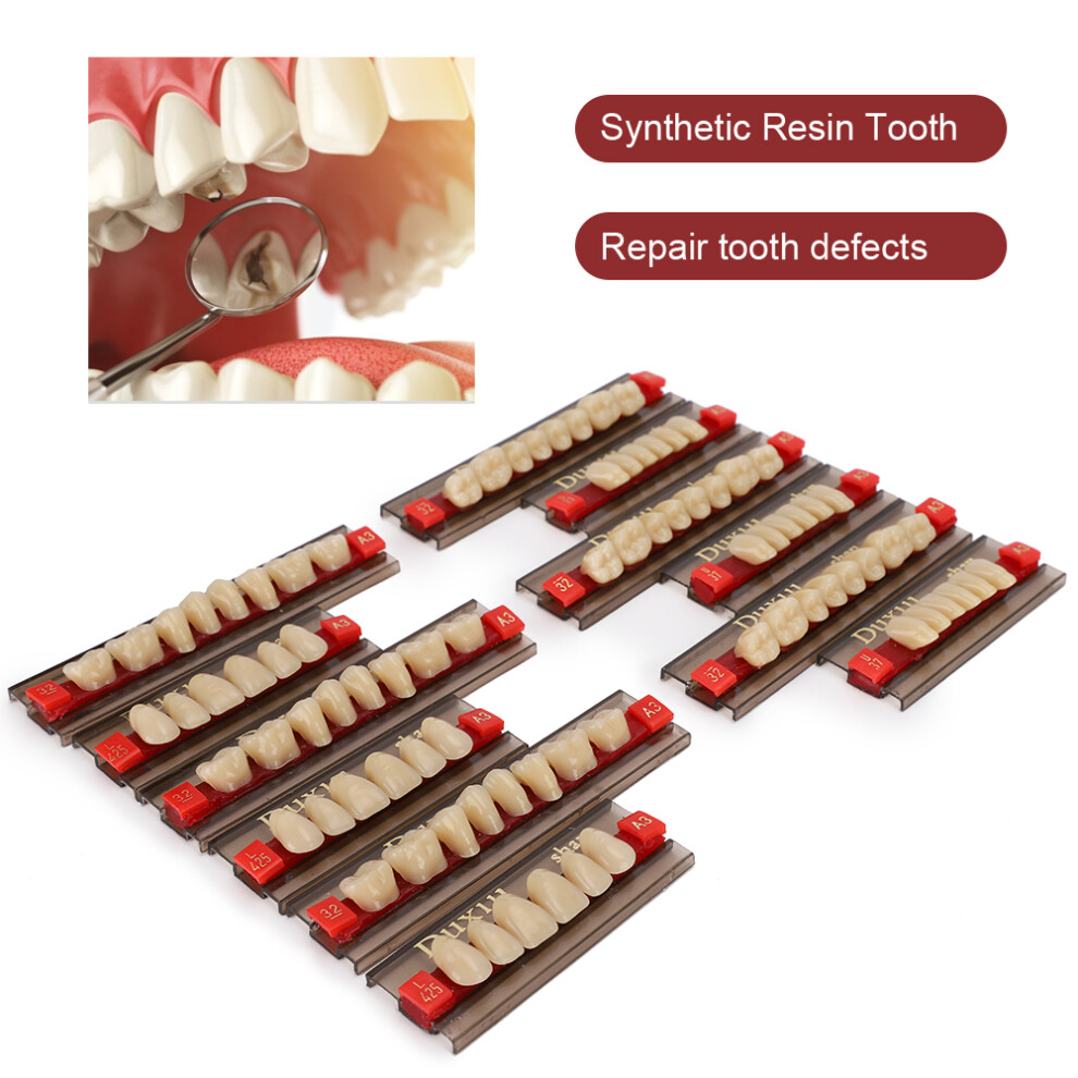 Synthetic Resin False Teeth A3 for Denture, Dentist Supplies