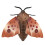 Infrared Remote Control Insect Toy, Kid Trick Moth, Plastic 5