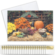 Signaturkort - Thanksgiving lyk?nskningskort (h?stsk?rm) 5x7 tommer 25 kort & 26 hvide med guldfolieforede konvolutter (HT100)