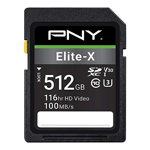 Elite X Classe 10 U3 da 512 GB