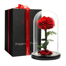 LOVAPPY Forever Rose - Preserved Eternal Rose in Glass Dome - Beauty and The Beast Rose for Mom - Fresh Flowers for Delivery Prime (Red 9 Inch)