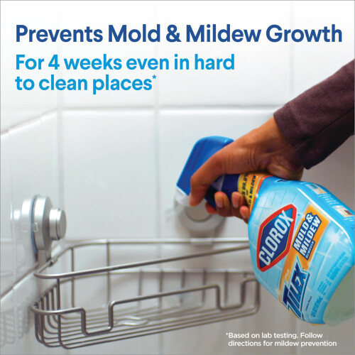 Mold & Mildew Remover, 32 oz 2