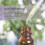 (30 ml.) Essential Oil, Rose Absolute Oil - 30 ml. 4