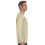 Hanes TAGLESS Langarm-T-Shirt Deep Forest Small 3