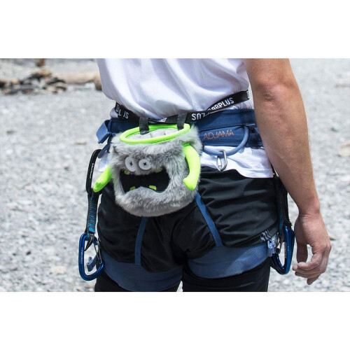 Donald chalk bag 1