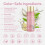 Smoothing Shampoo 8.5 Oz 4
