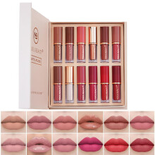Baorder Set de 12 Rouges à Lèvres Liquides Mat Velvet, Kit de Teinture Nude