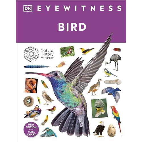 Bird by DK Hardcover Book