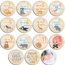 M?nedlige babymilep?lekort til nyf?dte piger eller drenge M?nedlige babymilep?lekort Nyf?dtskilt Babym?nedsjubil?umskort Babyshowerkort medf?lger