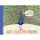 Have a Little Pun: 30 Postcards 1