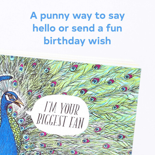 Have a Little Pun: 30 Postcards 2