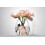 Michael Malul Rose + Honey Eau de Parfum da donna - 100 ml | 3,4 once 4