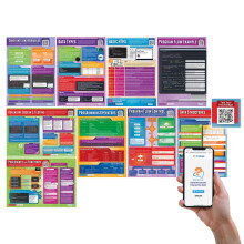 Poster per aula di programmazione informatica Daydream Education - Set da 9 - EXTRA LARGE 33 x 23,5 - Laminato - Include quiz interattivi - Decor