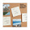 Universal UNV31306 3/8 in. Plastic Push Pins - Clear (400/Pack) 5