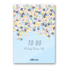 Pukka Pad Carpe Diem Agenda giornaliera da scrivania A5 con 60 fogli staccabili di carta da 100 g/m? - Include sezioni per mattina pomeriggio ser