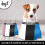 Dogit Elevated Dish Blue Large 900ml 5