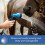 Farnam Vetrolin Bath Shampoo ultraidratante per cavalli e cani 64 once 4