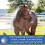 Farnam Vetrolin Bath Shampoo ultraidratante per cavalli e cani 64 once 3