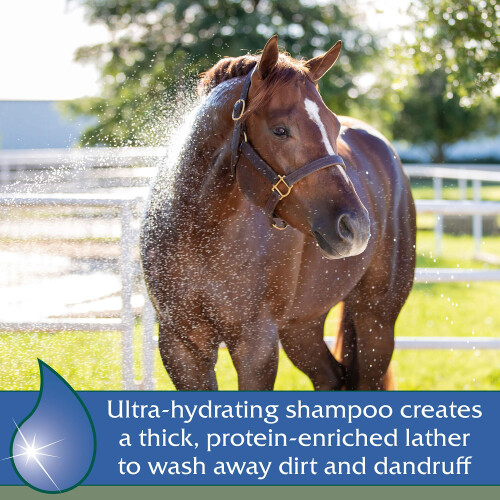 Farnam Vetrolin Bath Shampoo ultraidratante per cavalli e cani 64 once 2