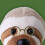 Book Tails Bookmarks For Reading Books Travel Sloth 4