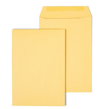 Staples 534701 6,5 x 9,5-Inch Bruin Kraft Catalogus Enveloppen 100/Doos (534701/17096)