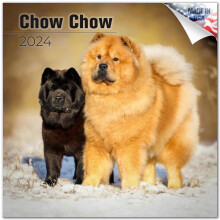 2023 2024 Chow Chow Kalender - Hondenras Maandelijkse Wandkalender - 12 x 24 Open - Dik No-Bleed Paper - Cadeaubaar - Academische lerarenplanner Kale
