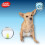 Simple Solution Simple Solution Diadema de pañal desechable para perros macho, 12 hilos, con indicador de sudor 5