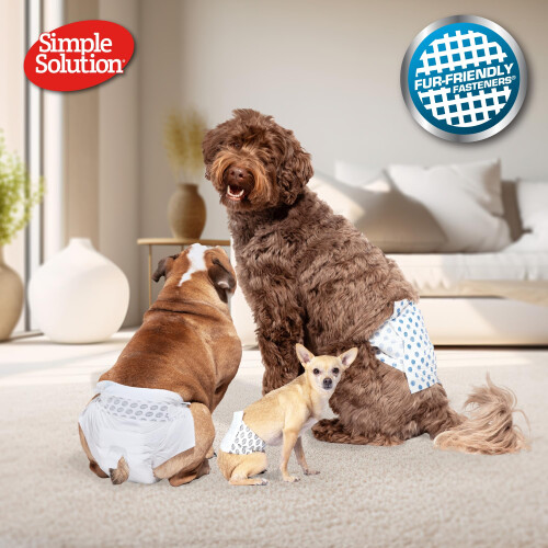 Simple Solution Simple Solution Diadema de pañal desechable para perros macho, 12 hilos, con indicador de sudor 1