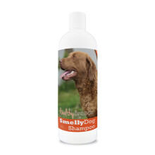 Healthy Breeds 840235160335 Chesapeake Bay Retriever Smelly Dog Baking Soda Shampoo