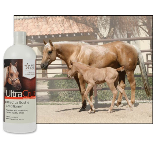 UltraCruz Equine Conditioner til heste 32 oz 2