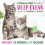 Tropiclean Waterless Cat Shampoo Deep Clean 220ml 4