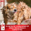 Shampoo e balsamo medicati al solfodene per cani 12 once 3
