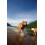 Chuckit! Canine Hardware Petmate 600114 Small Zipflight 3