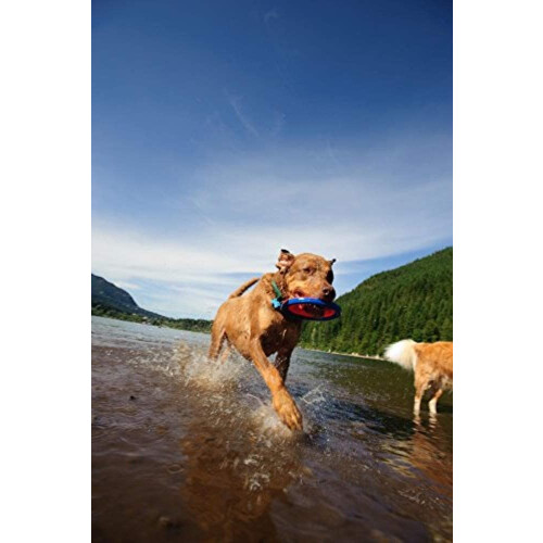Chuckit! Canine Hardware Petmate 600114 Small Zipflight 2