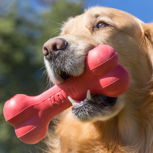 KONG KONG Scrunch Knots Fox Dog Toy, Small/Medium 2