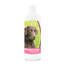 Healthy Breeds 840235109570 16 oz Labrador Retriever Deodorizing Shampoo with Aloe