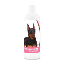 Shampoo deodorante per Pinscher in miniatura di Healthy Breeds 16 oz