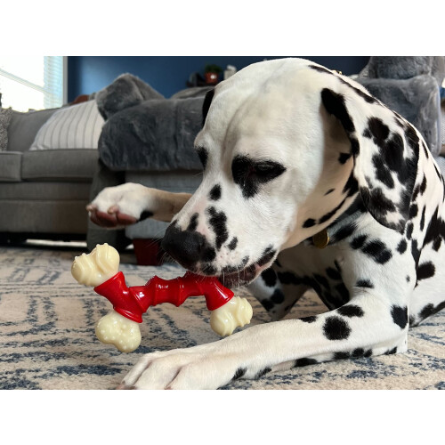 Nylabone Extreme Chew Double Action Bacon Medium 1