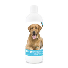 Healthy Breeds Labrador Retriever Shampoo sbiancante brillante 12 once