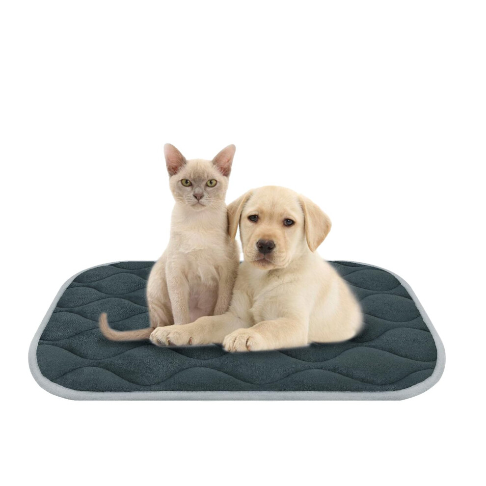 furrybaby Dog Crate Pad for Dog Cages Flat Crate Mat Kennel Pad with Anti-Slip Bottom Machine Washable for Pet Bed Sleeping (S 24x18'' Grey Mat)-image-OPC-PN2M8BN-NEW