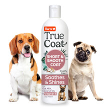 Nuovo! Hartz True Coat Shampoo specifico per cani a pelo corto e liscio, lenisce e lucida con latte d'avena, olio di cocco e vitamina E