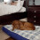 MyPillow Pet Bed [Small Gray] 4