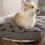 MyPillow Pet Bed [Small Gray] 5