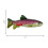 KONG KONG Wild Shieldz Trout Medium 4