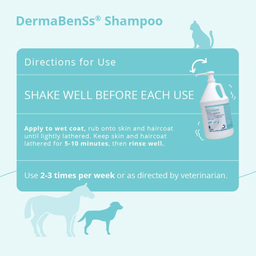 DermaBenSs Shampoo per Cani Gatti e Cavalli Gallone 2