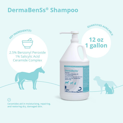 DermaBenSs Shampoo per Cani Gatti e Cavalli Gallone 1