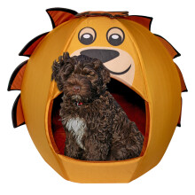 Maccabi Art Lion Theme Dog Bed - Cute Igloo Style Pet Bet - Fits Small Dogs Puppies Cats - Pillow Insert with Plush Lined Interrior Non-Slip Igloo