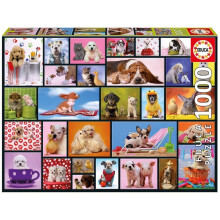 Puzzle Educa Moments Partagés